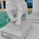揭阳 白麻花岗岩动物异形石雕-大象