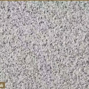 揭阳白麻荔枝面