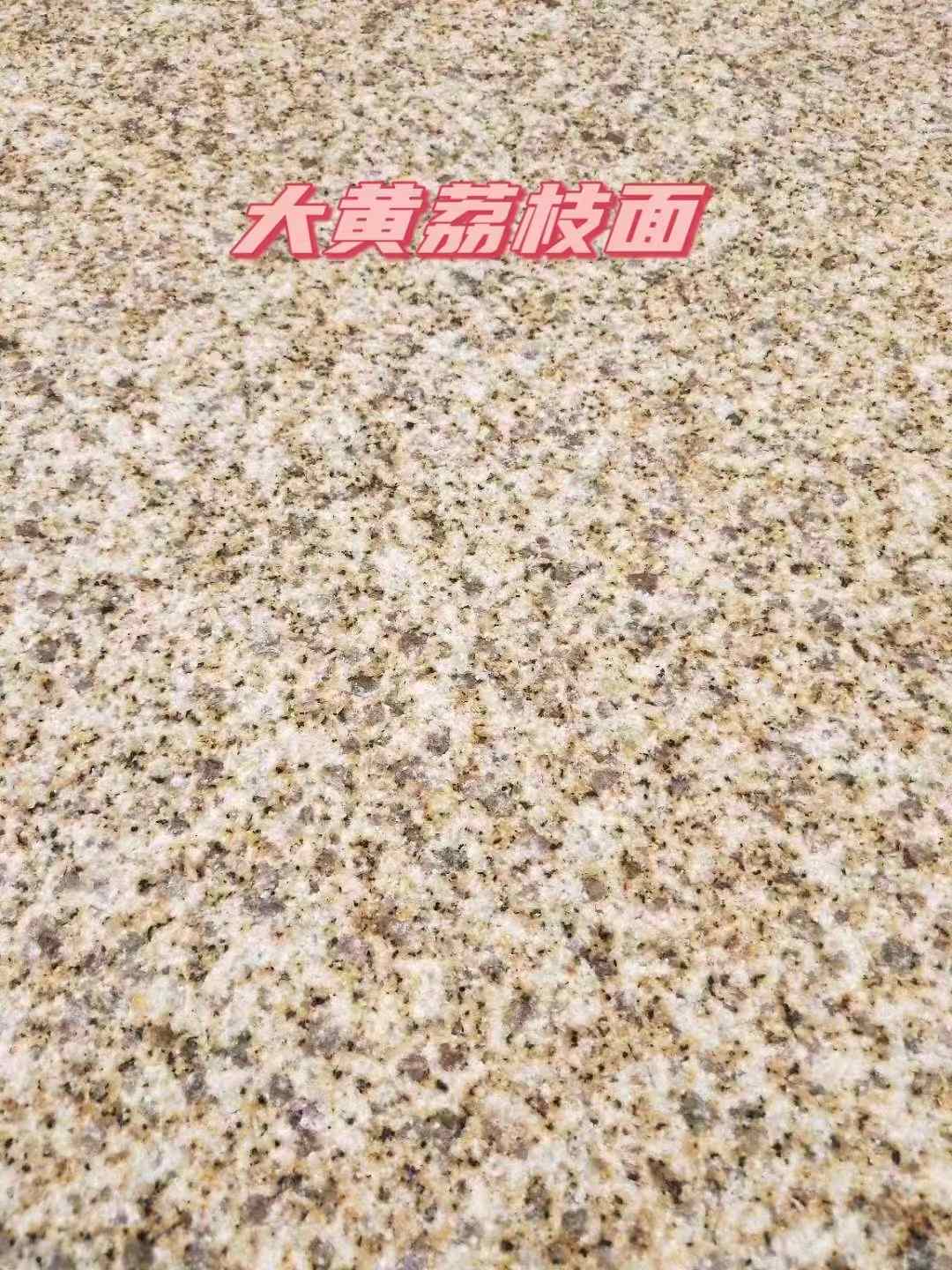 揭阳黄金麻大黄荔枝面