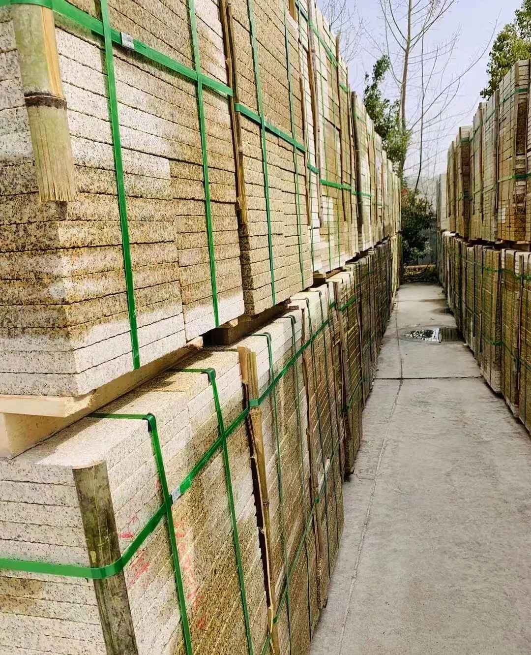 揭阳 黄金麻花岗岩荔枝面地铺石