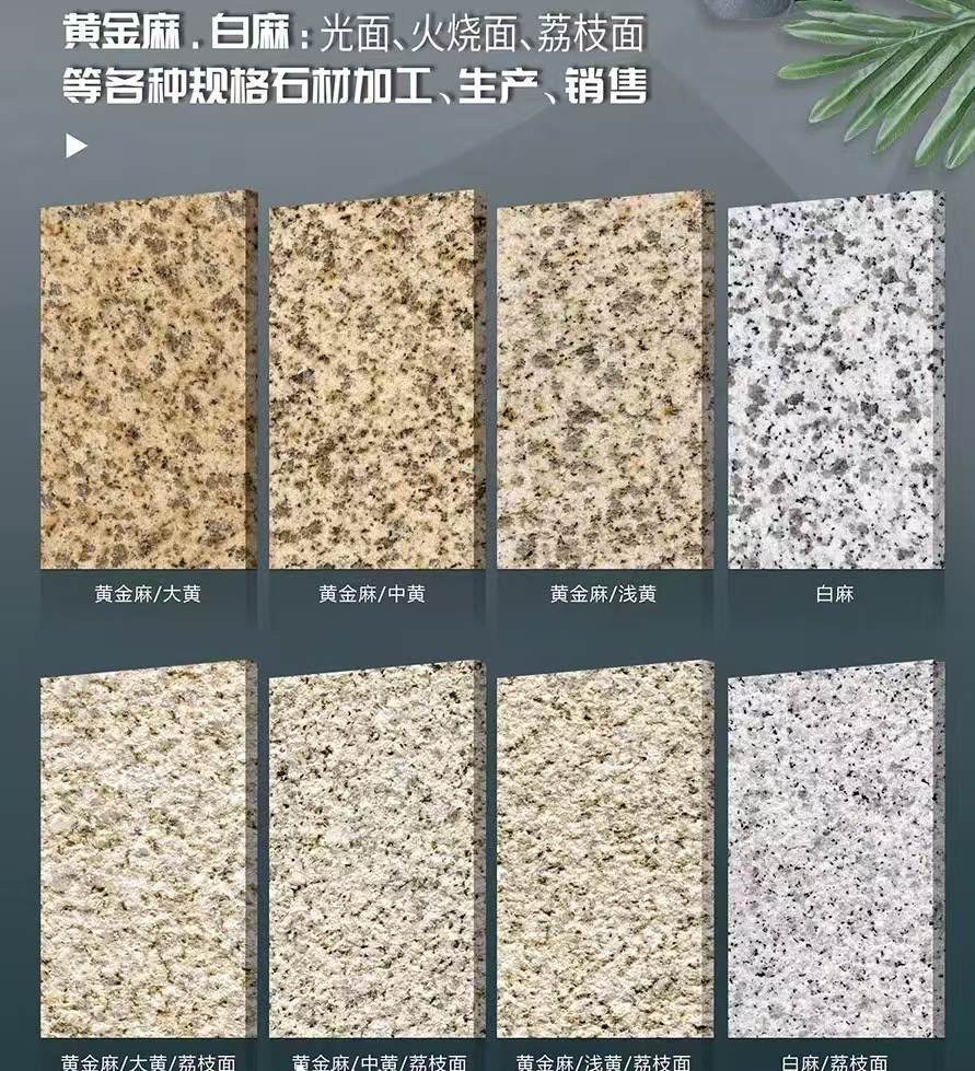 揭阳 黄金麻白麻样品展示