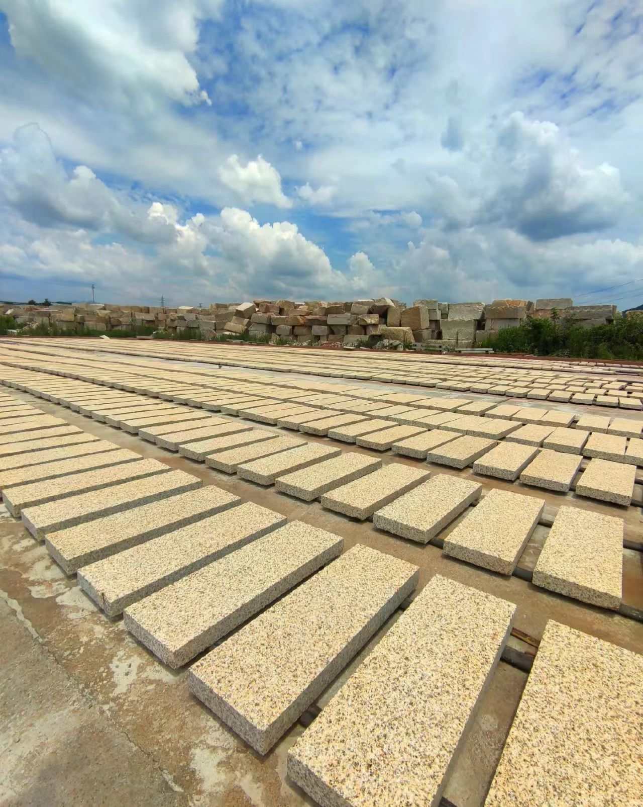 揭阳 黄金麻花岗岩荔枝面地铺石防护中