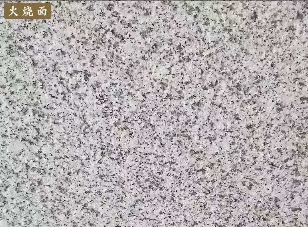 揭阳白麻火烧面