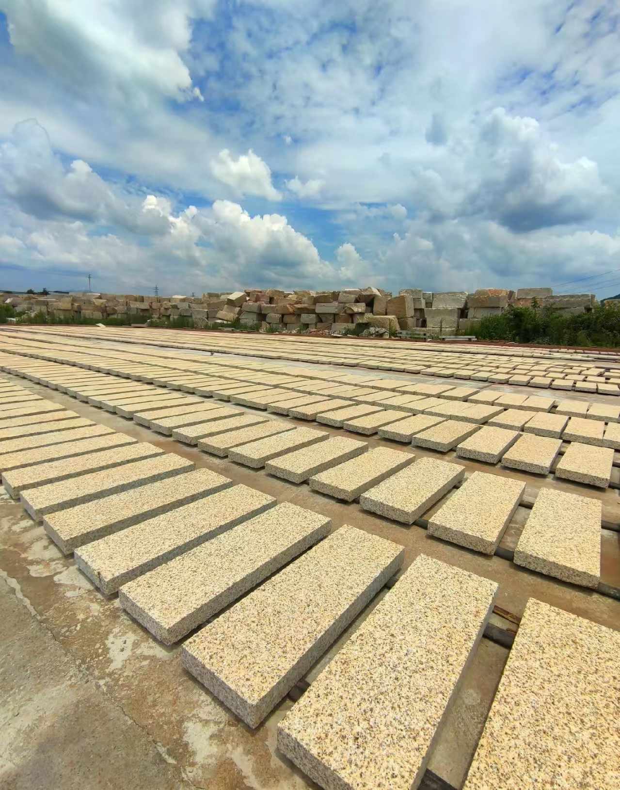 揭阳 黄金麻荔枝面花岗岩石材地铺石防护中