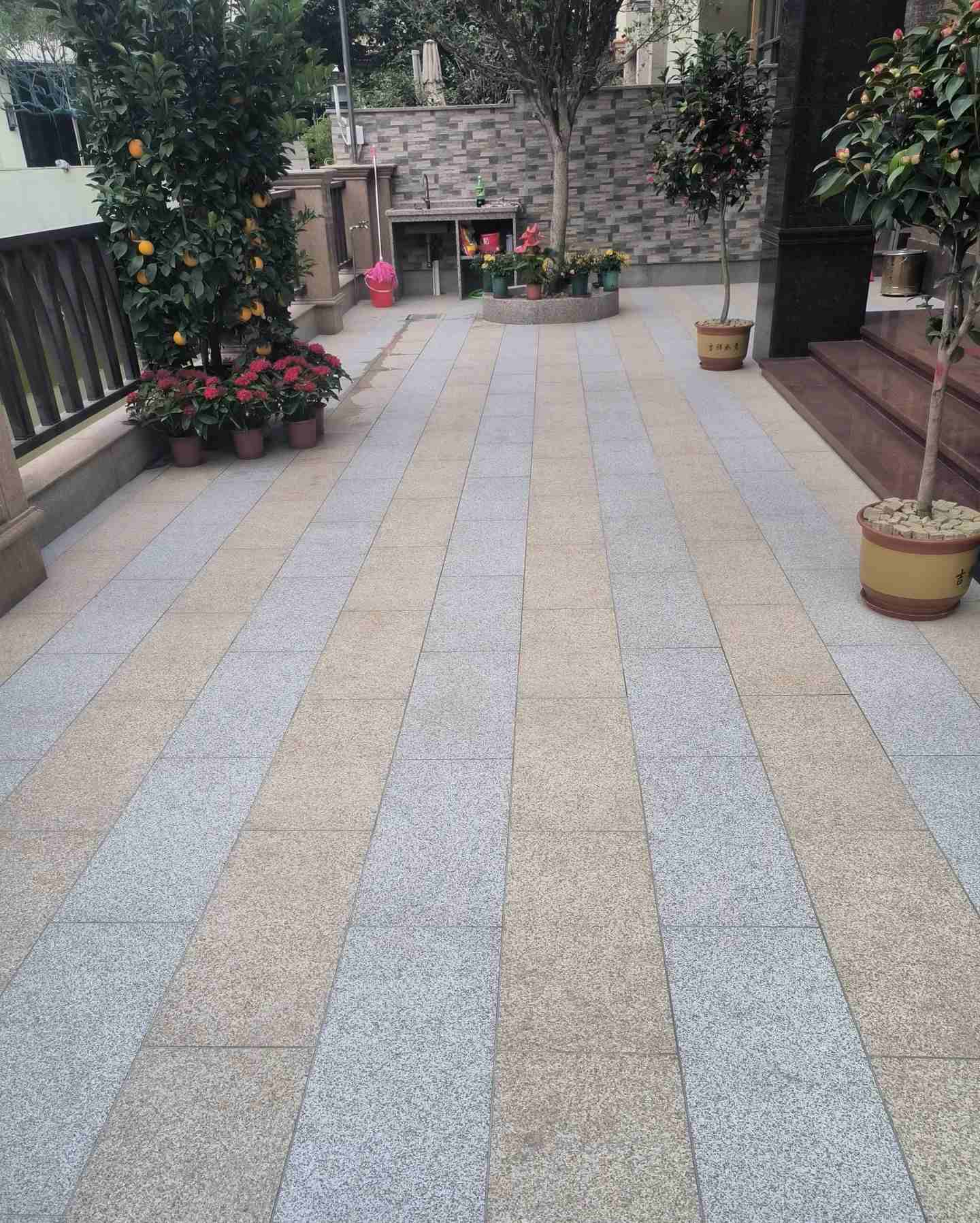 揭阳 黄金麻白麻荔枝面庭院铺装展示